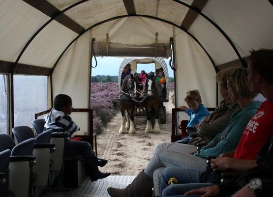 huifkar rijden veluwe gelderland huifkartocht