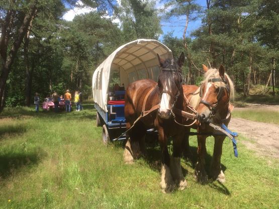 huifkartocht met picknick voor bedrijven.JPG