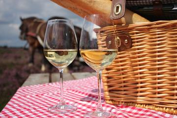 Huifkartocht Veluwe met picknickmand